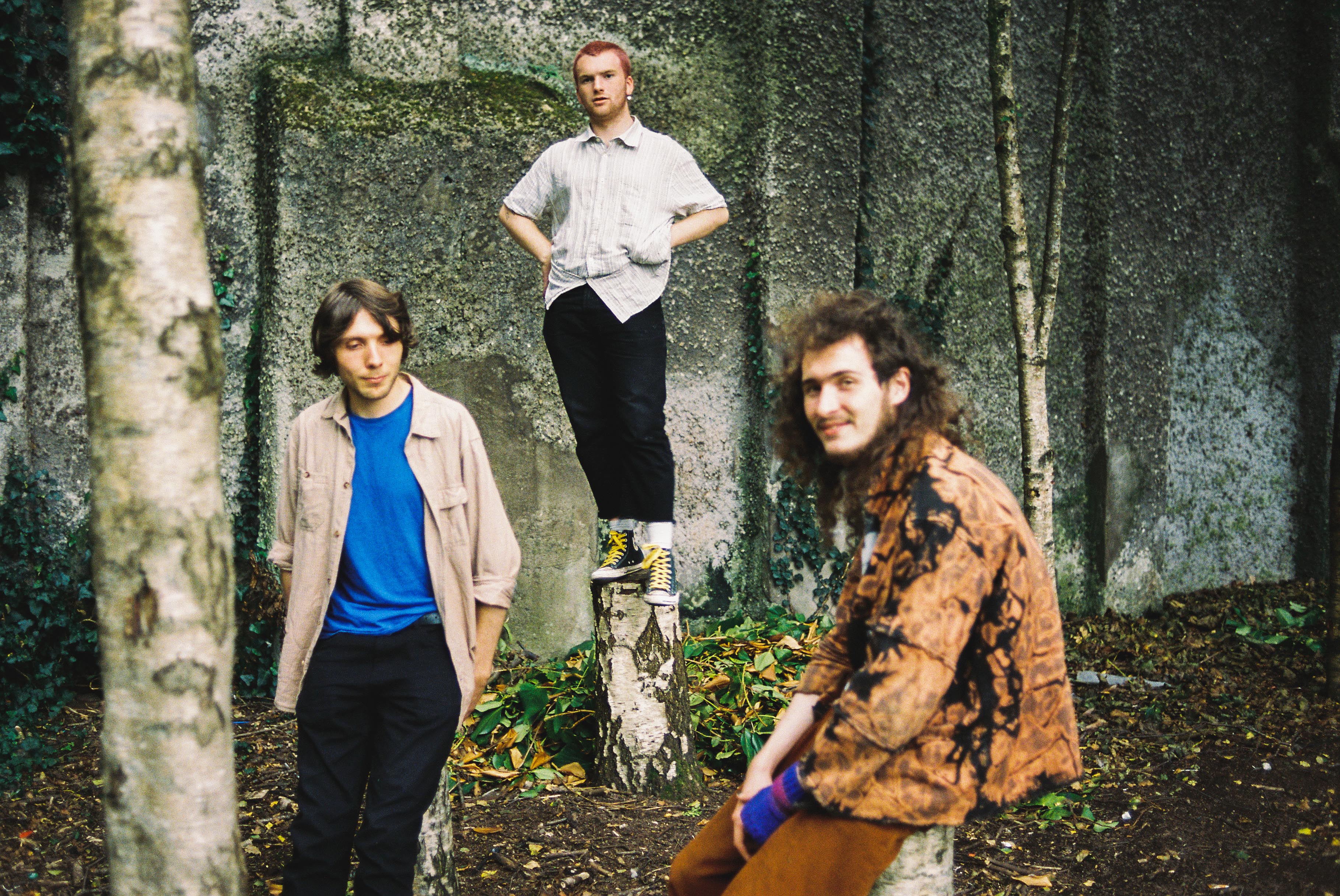 Peace Park Cork (Nick O'Donnell)